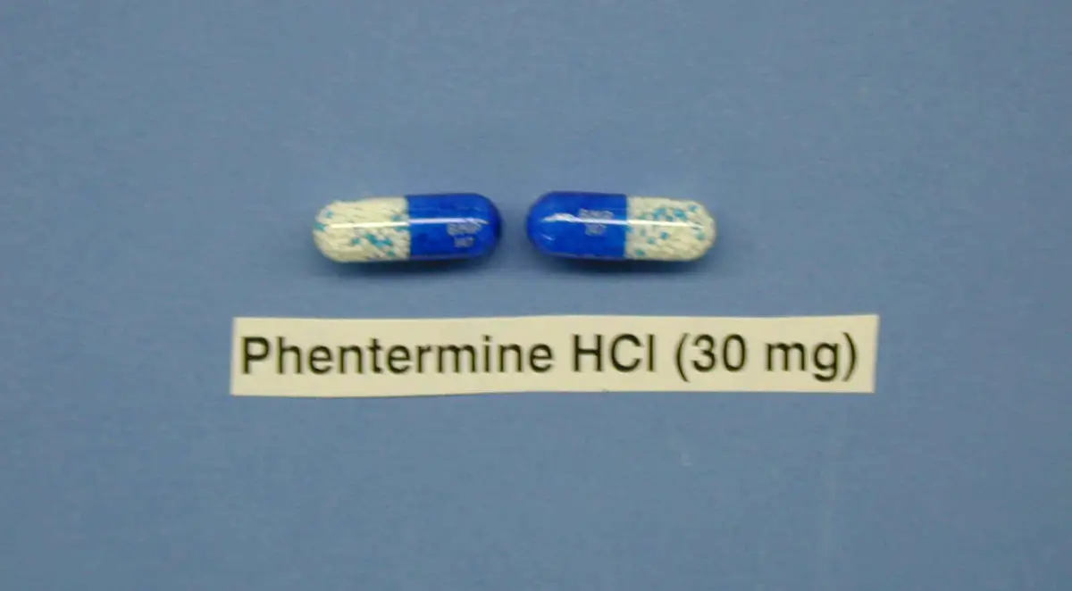 is phentermine or wegovy better